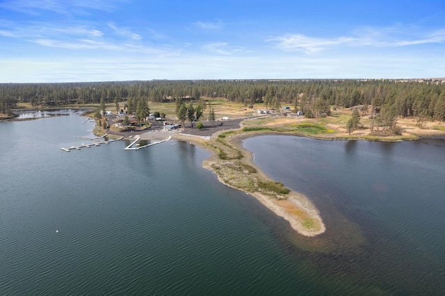 20005 W Chandler Ave, Medical Lake, WA 99022 - photo 15