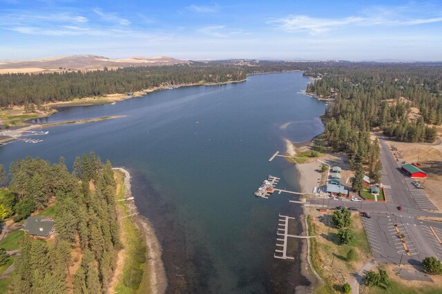 20005 W Chandler Ave, Medical Lake, WA 99022 - photo 16