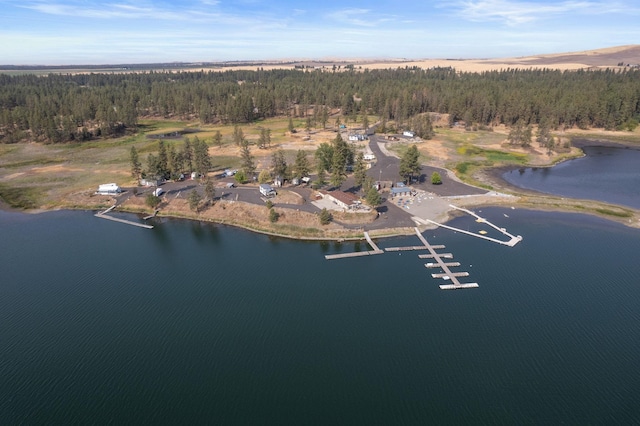 20005 W Chandler Ave, Medical Lake, WA 99022 - photo 17
