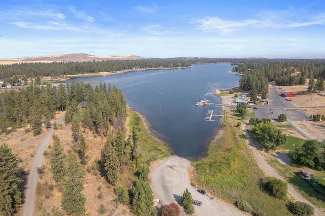 20005 W Chandler Ave, Medical Lake, WA 99022 - photo 18