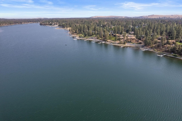 20005 W Chandler Ave, Medical Lake, WA 99022 - photo 19