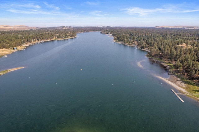 20005 W Chandler Ave, Medical Lake, WA 99022 - photo 20