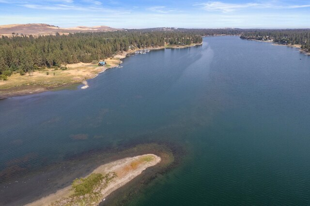 20005 W Chandler Ave, Medical Lake, WA 99022 - photo 21