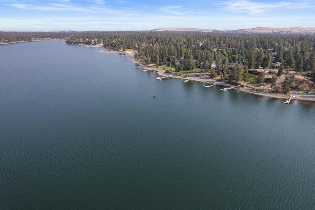 20005 W Chandler Ave, Medical Lake, WA 99022 - photo 22
