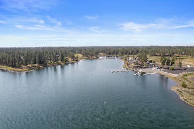 20005 W Chandler Ave, Medical Lake, WA 99022 - photo 23