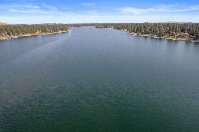 20005 W Chandler Ave, Medical Lake, WA 99022 - photo 24