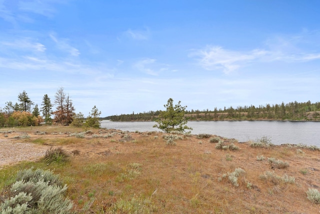 20005 W Chandler Ave, Medical Lake, WA 99022 - photo 4