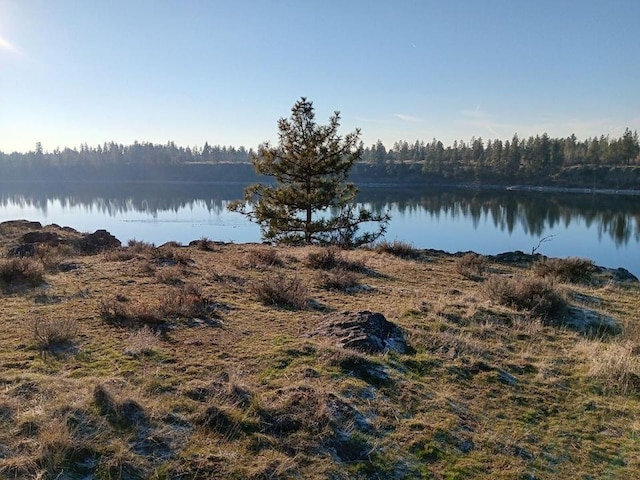 20005 W Chandler Ave, Medical Lake, WA 99022 - photo 7