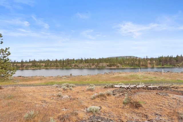 20005 W Chandler Ave, Medical Lake, WA 99022 - photo 9