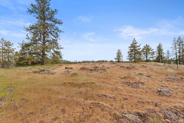 20005 W Chandler Ave, Medical Lake, WA 99022 - photo 10