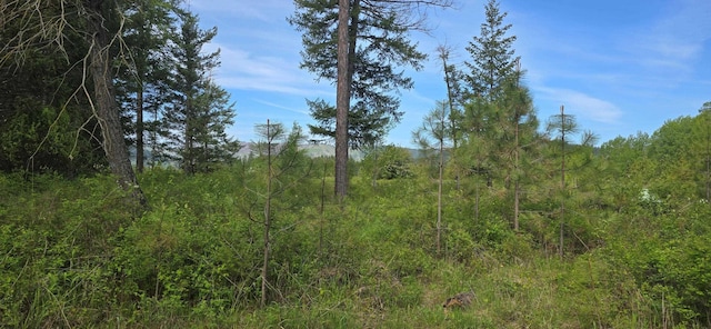 4571B Williams Valley Rd, Clayton, WA 99110