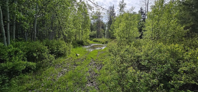 4571B Williams Valley Rd, Clayton, WA 99110