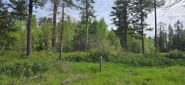 4571B Williams Valley Rd, Clayton, WA 99110