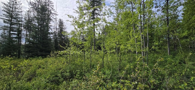 4571B Williams Valley Rd, Clayton, WA 99110