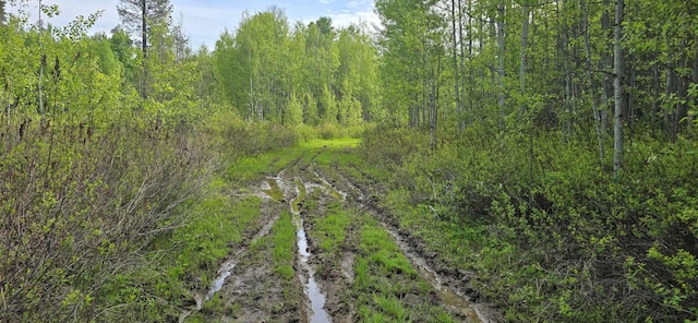 4571B Williams Valley Rd, Clayton, WA 99110