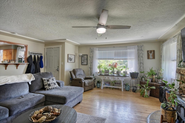 301 E Ermina Ave, Spokane, WA 99207 - living room with healthy amount of natural light, a ceiling fan, a textured ceiling, and wood finished floors