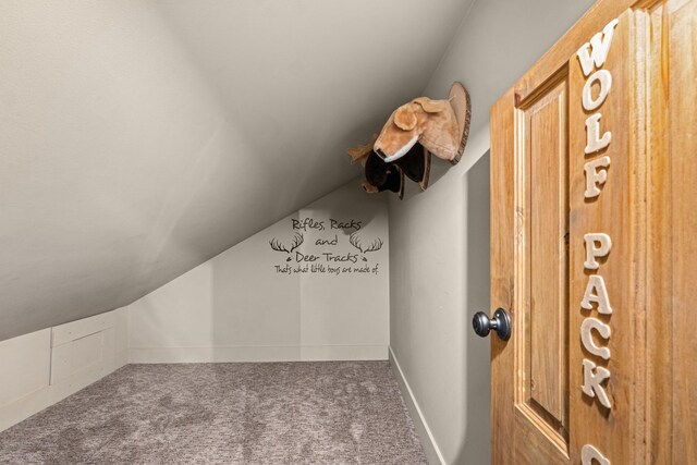 33905 Winterwood Ln Unit E, Davenport, WA 99122 - walk in closet featuring carpet flooring and vaulted ceiling