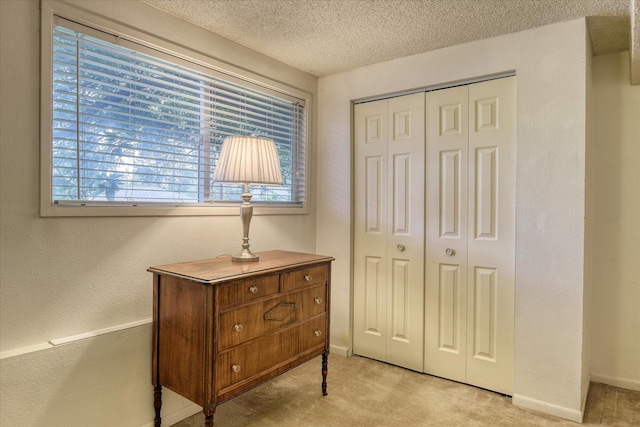 1829 S Glenrose Rd, Spokane, WA 99223 - bedroom featuring carpet flooring, multiple windows, a closet, a textured ceiling, and a textured wall