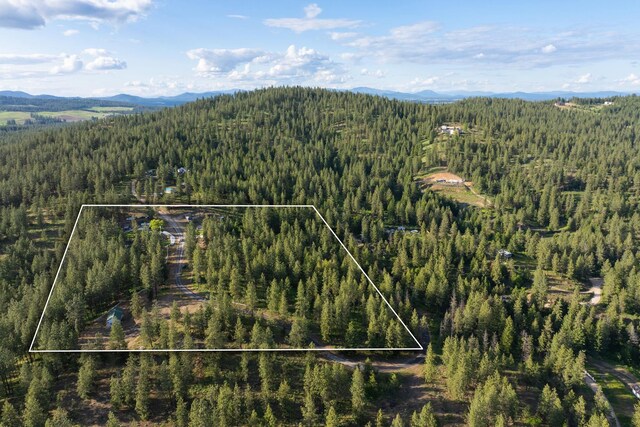 5475 Peggy Way, Deer Park, WA 99006 - aerial view of property's location with a forest, a mountain backdrop, and property boundaries highlighted
