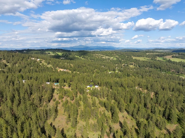 5475 Peggy Way, Deer Park, WA 99006 - drone / aerial view of a heavily wooded area and a mountainous background
