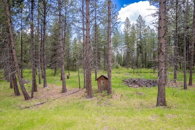 472 Snow Berry Ln, Usk, WA 99180 - view of yard