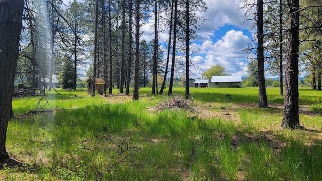 472 Snow Berry Ln, Usk, WA 99180 - view of yard