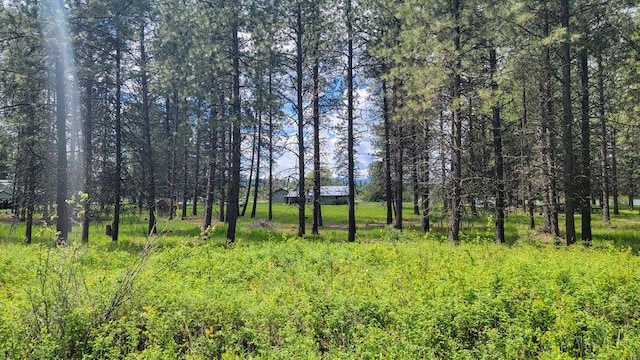 472 Snow Berry Ln, Usk, WA 99180 - view of nature
