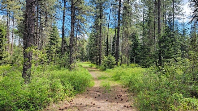 472 Snow Berry Ln, Usk, WA 99180 - view of wooded area