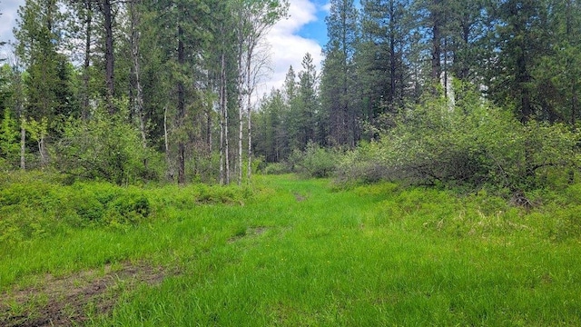 472 Snow Berry Ln, Usk, WA 99180 - view of wooded area