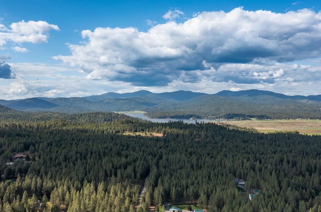 7909 N Garry Ln, Newman Lake, WA 99025 - view of mountain background with a heavily wooded area