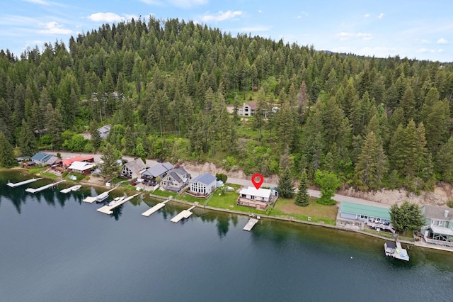46273 Larson Beach Rd, Loon Lake, WA 99148 - view of property location with a heavily wooded area and a large body of water