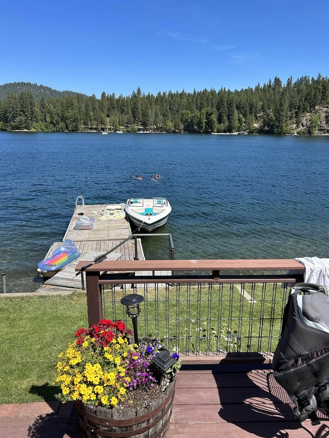 46273 Larson Beach Rd, Loon Lake, WA 99148 - dock featuring a water view and a view of trees