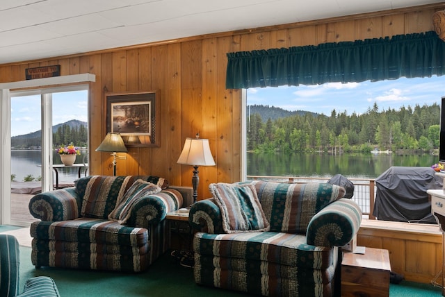 46273 Larson Beach Rd, Loon Lake, WA 99148 - living room featuring a water view, wooden walls, and carpet