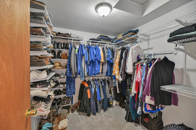 5024 E Ballard Rd, Colbert, WA 99005 - spacious closet with carpet