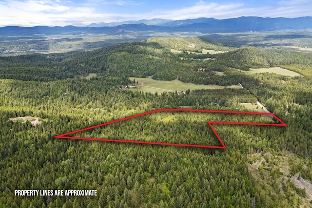 1151 Bergen Rd, Newport, WA 99156