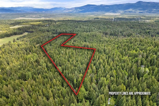 1151 Bergen Rd, Newport, WA 99156 - photo 1