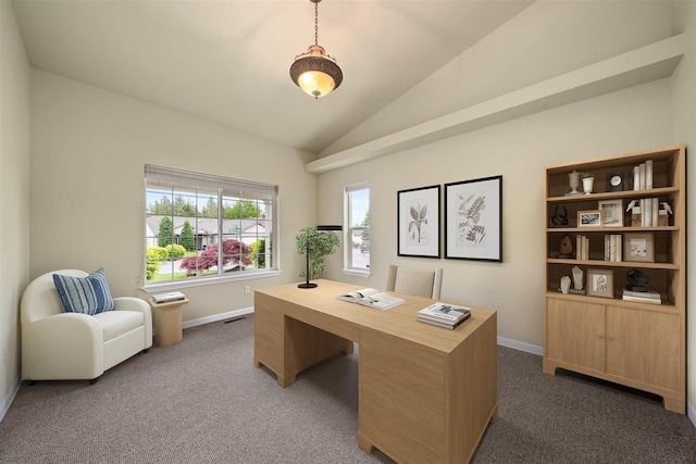 858 S Shelley Lake Ln, Spokane Valley, WA 99037 - office space with dark carpet, lofted ceiling, and baseboards