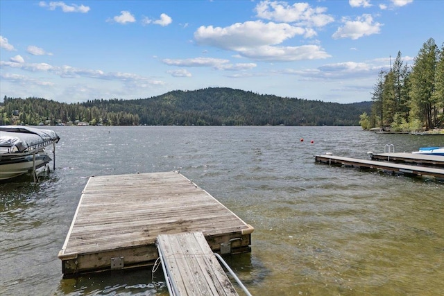 12931 N N Park St, Newman Lake, WA 99006 - dock area featuring a view of trees and a water view