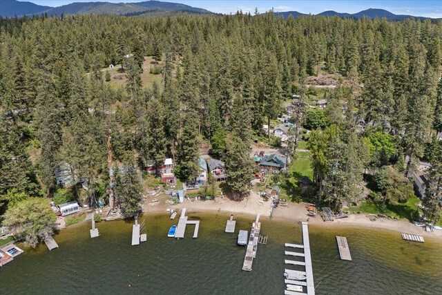 12931 N N Park St, Newman Lake, WA 99006 - aerial view of property and surrounding area with a forest and a water and mountain view