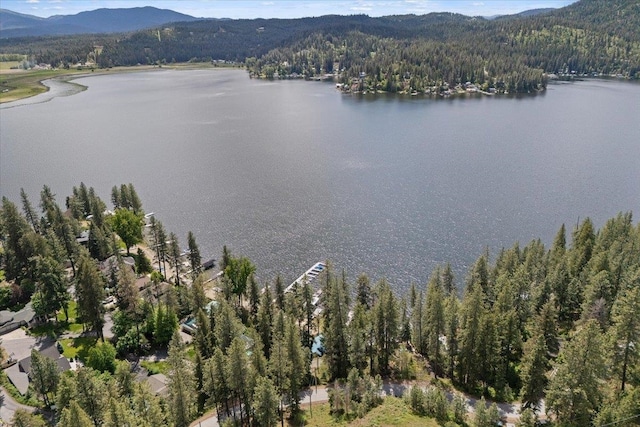 12931 N N Park St, Newman Lake, WA 99006 - water view with a forest and a mountain backdrop