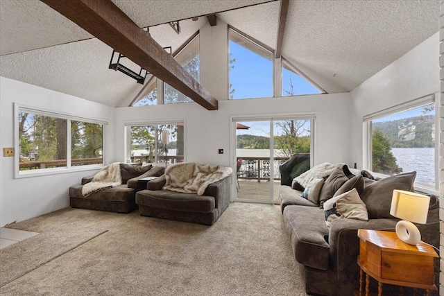 12931 N N Park St, Newman Lake, WA 99006 - living room with a textured ceiling, carpet floors, and a water view