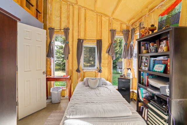 300 Duck Ln, Newport, WA 99156 - carpeted bedroom featuring vaulted ceiling