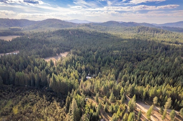 300 Duck Ln, Newport, WA 99156 - drone / aerial view of a forest and a mountainous background