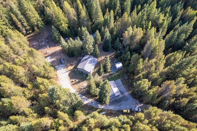 300 Duck Ln, Newport, WA 99156 - view of subject property