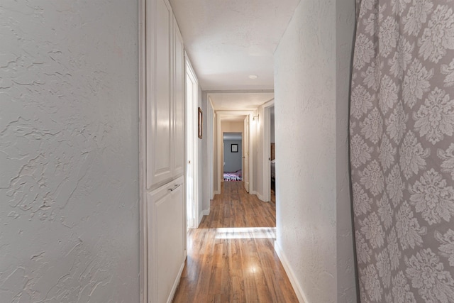 8431 Fertile Valley Rd, Newport, WA 99156 - hallway with light wood finished floors, a textured wall, and baseboards