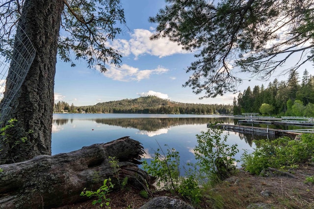 8431 Fertile Valley Rd, Newport, WA 99156 - water view with a forest
