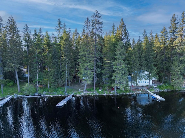 8431 Fertile Valley Rd, Newport, WA 99156 - water view featuring a heavily wooded area