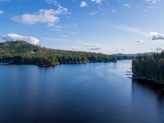 8431 Fertile Valley Rd, Newport, WA 99156 - water view featuring a mountain backdrop
