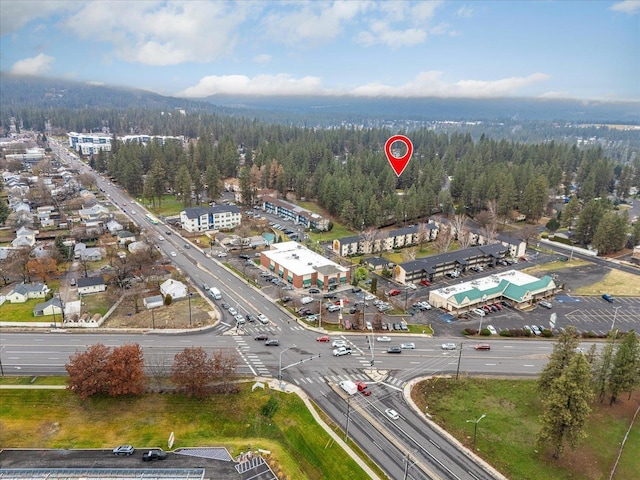 514 E Eaton Ave, Spokane, WA 99218 - photo 49