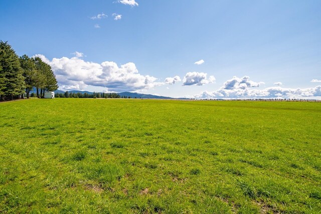 25512 N Orchard Bluff Rd Unit B, Chattaroy, WA 99003 - photo 6